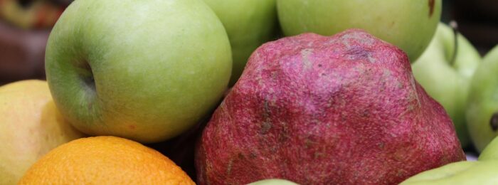 Saisonale Blumen: Welche Blumen zu welcher Jahreszeit passen