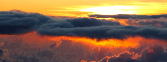 Accessoires für die Braut: Von Schleier bis Schmuck